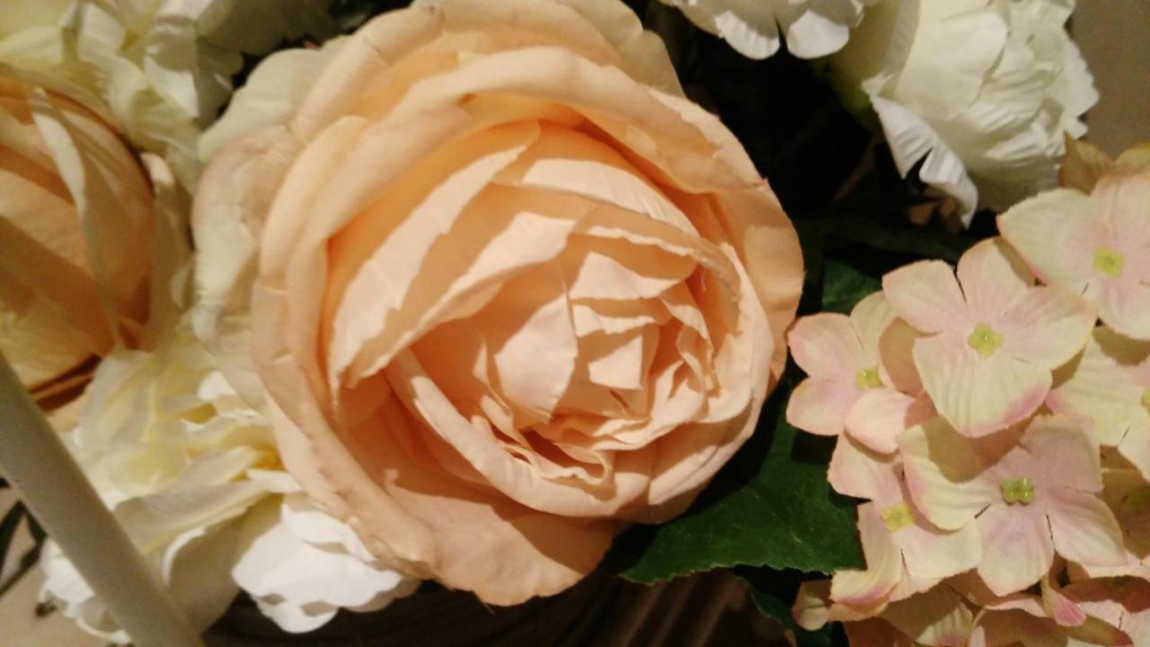 ルッカA Casa Di Pattyアパートメント エクステリア 写真